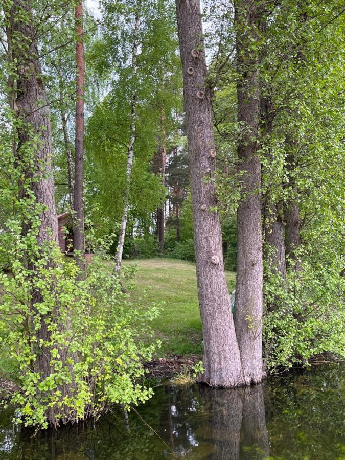 Apartament Comfort W Kujankach Nad Jeziorem Kujanki  Екстер'єр фото